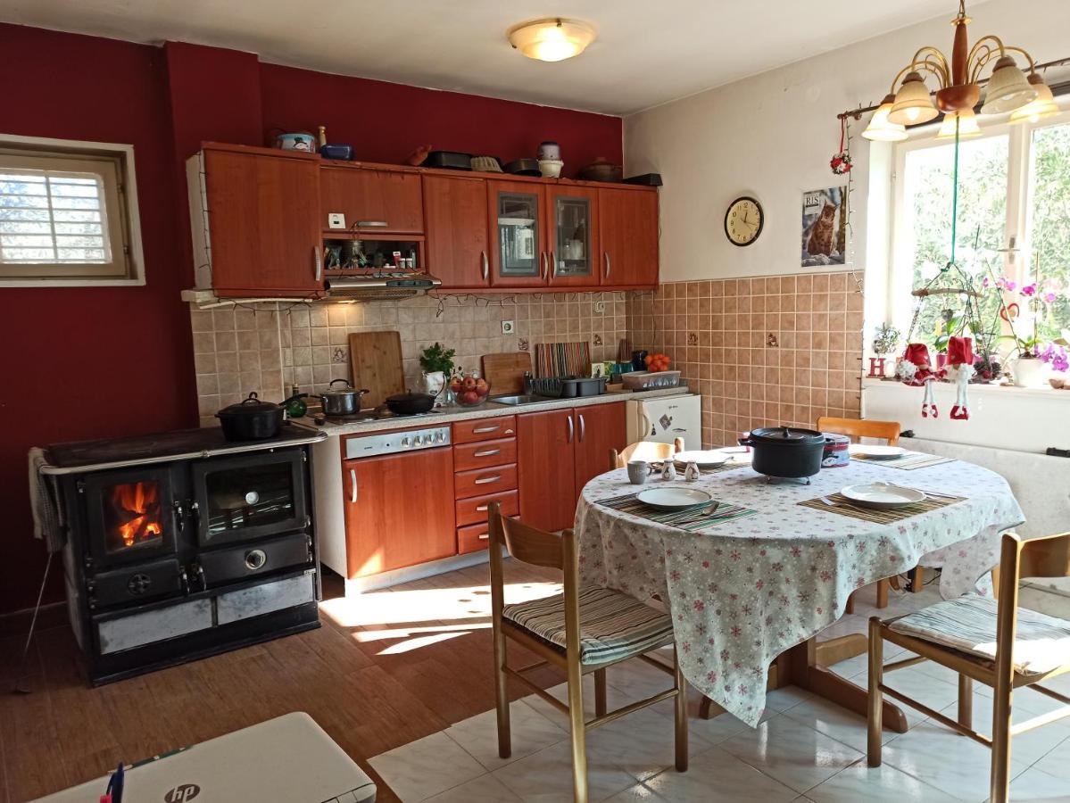 Maslinov Hlad Apartment Barbat na Rabu Ngoại thất bức ảnh